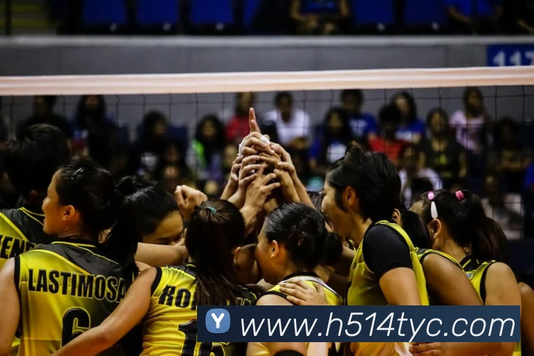 奖项证书